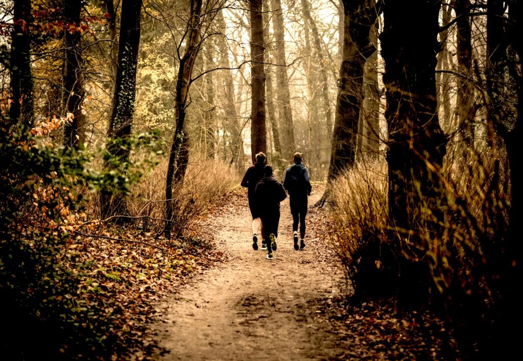 ultra running in autumn